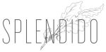 Splendid+x+Piano+Piano+x+Lucie